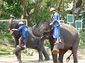 Chiang Mai P0142 Maetaman Elephant Camp